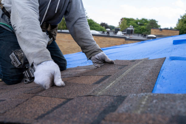 Best Roof Leak Repair  in Martinez, CA